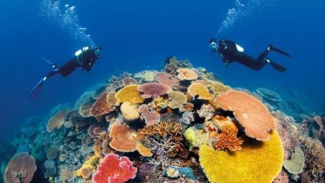 「深入了解我一个好朋友三薯五次问我借钱?知识星球,全面众多专家的知识共享平台」